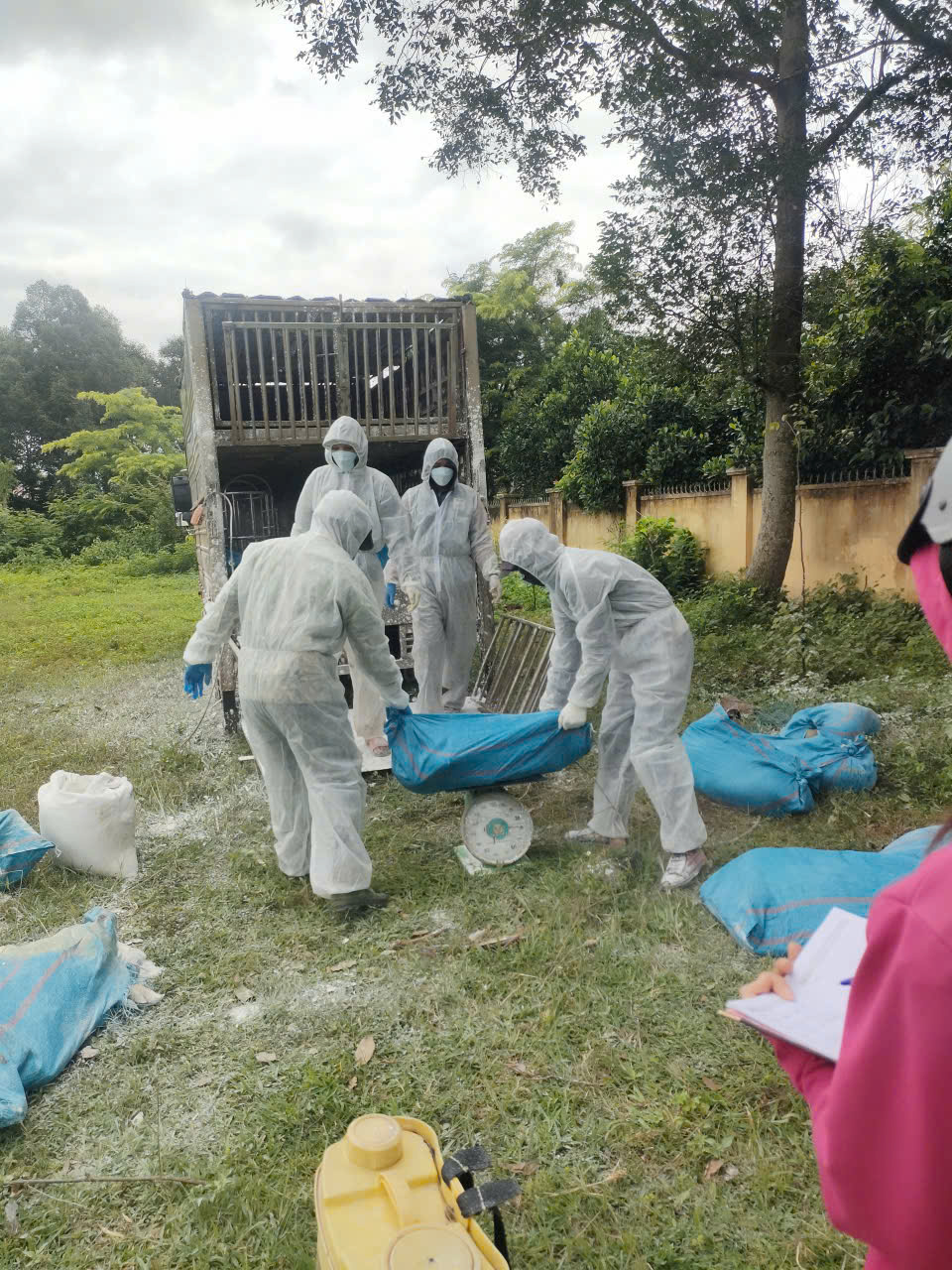 CÁC BIỆN PHÁP PHÒNG CHỐNG DỊCH TẢ LỢN CHÂU PHI